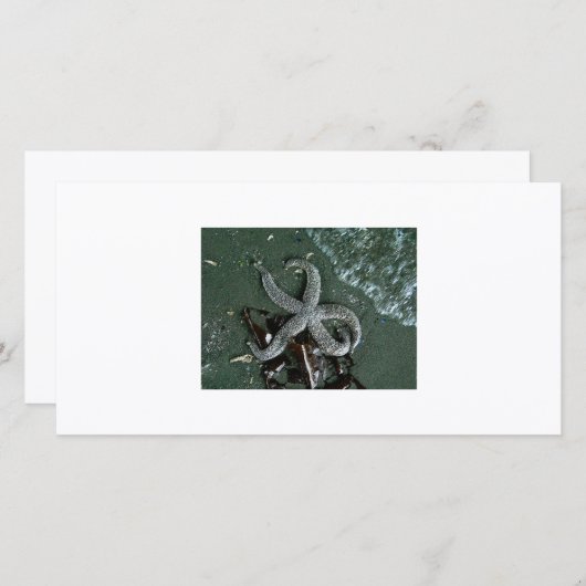 Seaside fun (Front/Back)