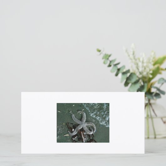 Seaside fun (Standing Front)