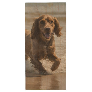 "Seaside Fun: Cocker Spaniel at Play in the Ocean Wood Flash Drive