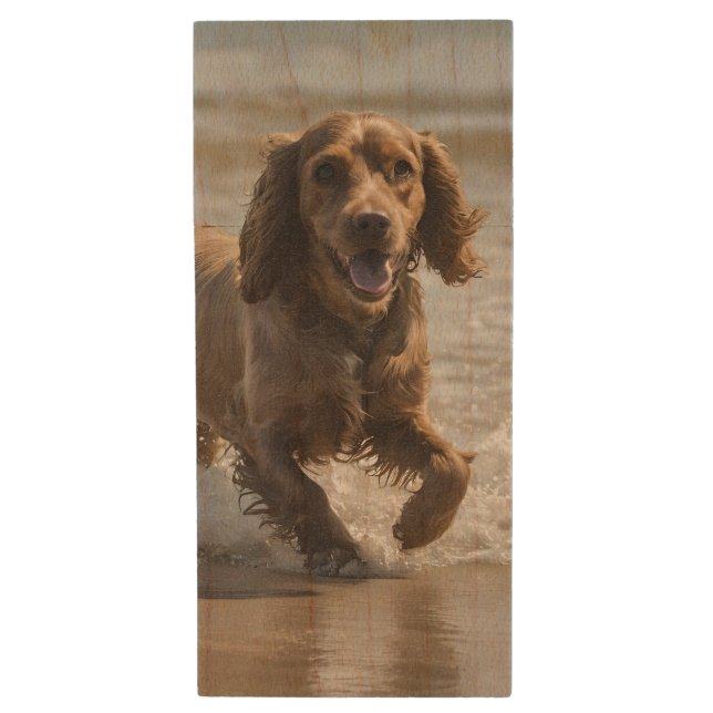 "Seaside Fun: Cocker Spaniel at Play in the Ocean Wood Flash Drive (Front Vertical)