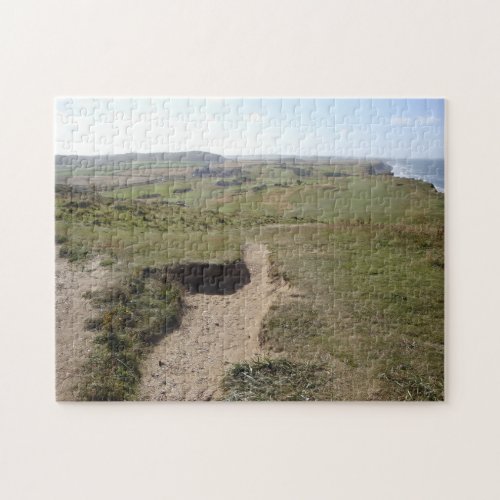 Seaside landscape with sand and grass walks photo jigsaw puzzle