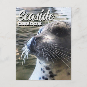 Seaside, Oregon Baby Seal Sealion Postcard