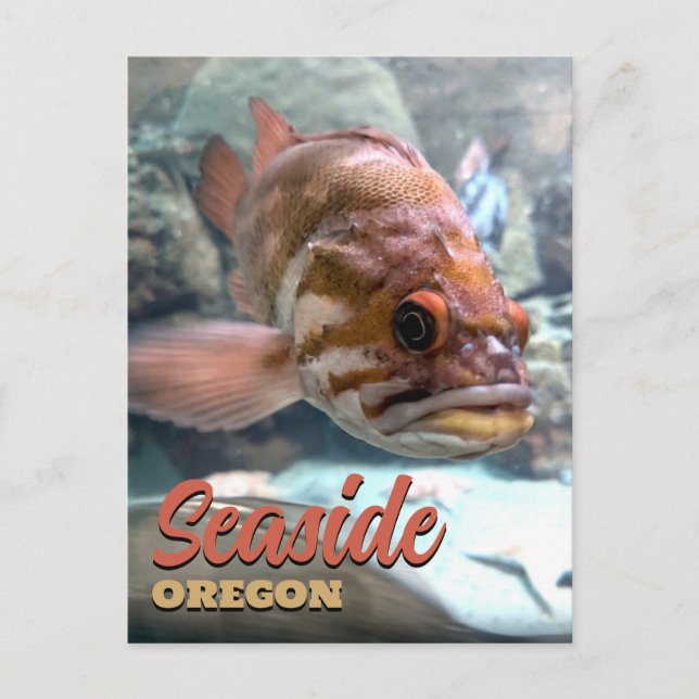 Seaside, Oregon Rockfish Postcard (Front)