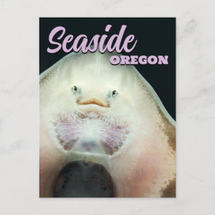 Seaside, Oregon Skate Animal Postcard