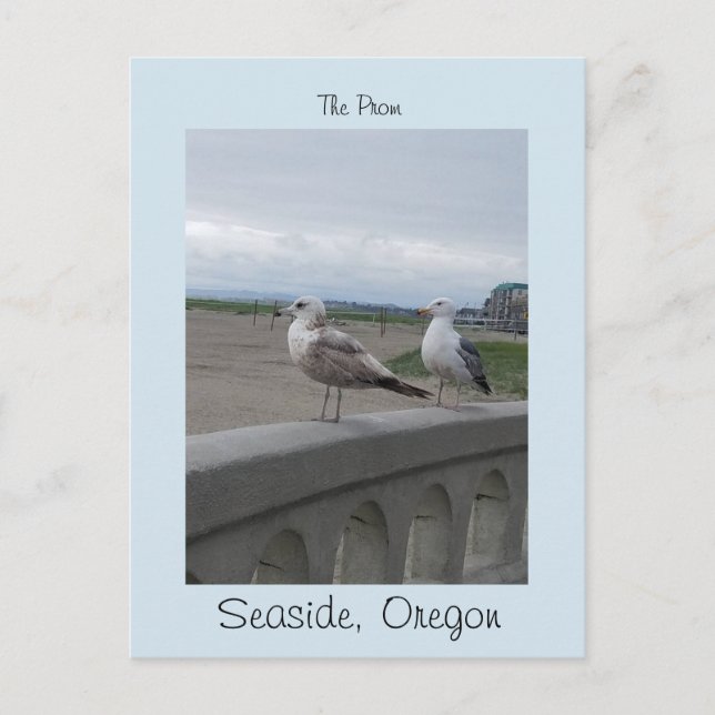 Seaside Oregon Two Gulls on the Beach Prom Postcard (Front)