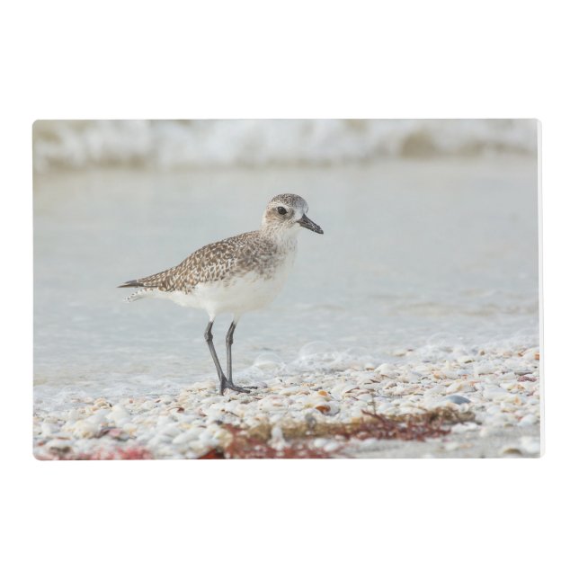 Seaside Plover Placemat (Front)