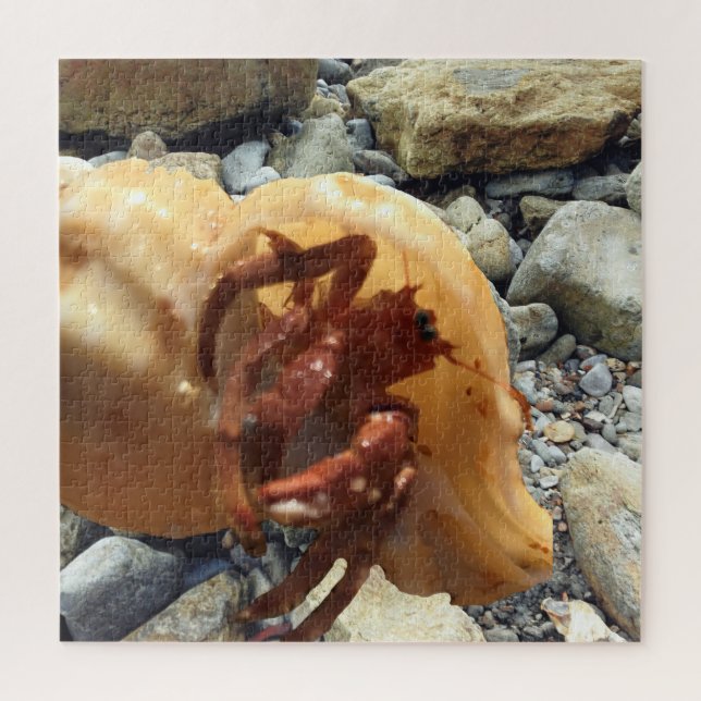 Seaside Rocks With Hermit Crab Jigsaw Puzzle (Vertical)