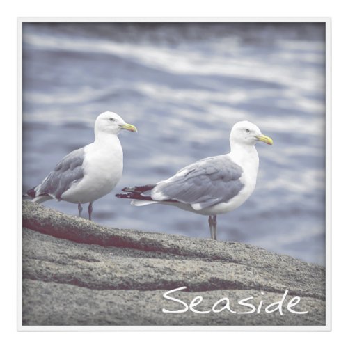 Seaside Seagulls Photo Print