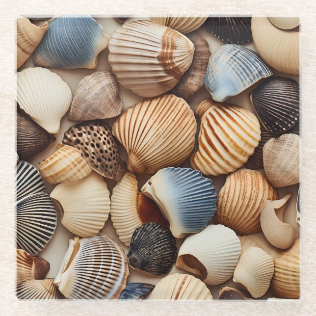 Seaside Seashells Glass Coaster (Front)