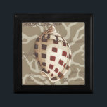 Seaside Sonnet I Gift Box<br><div class="desc">Marine Life</div>
