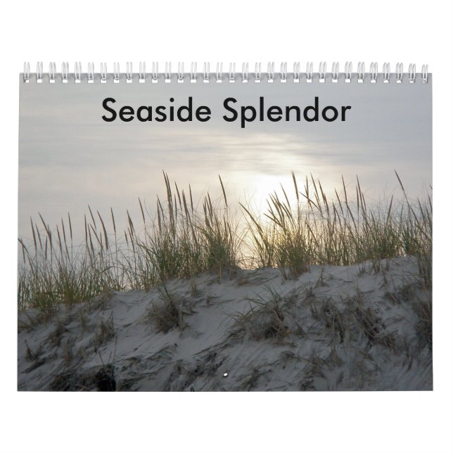 Seaside Splendor Calendar (Cover)
