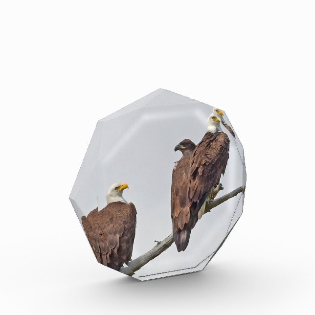 Season 12 E23 and Family Photo Block (Left)