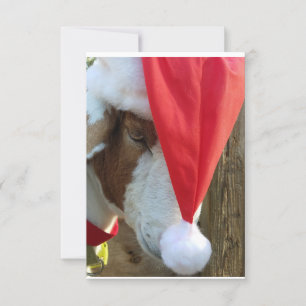 "Season Goat-ings!" A Holiday Greeting Card