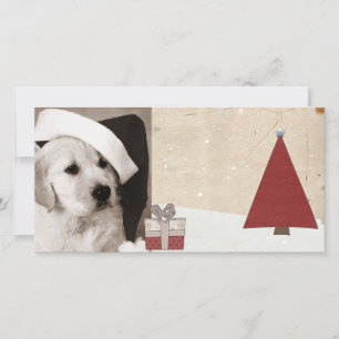 season greeting christmas pet photo cards
