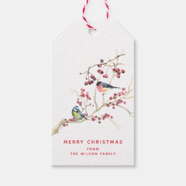 Season Greetings -  Christmas  Greenery w Birds 