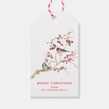 Season Greetings -  Christmas  Greenery w Birds 