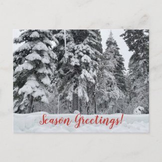 Season Greetings from Tahoe City! Postcard
