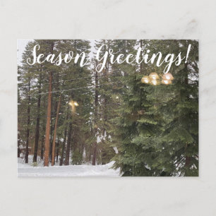 Season Greetings from Tahoe City Postcard
