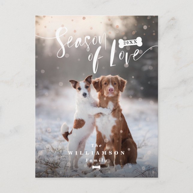 Season of Love | Stylish Script Pets Christmas Holiday Postcard (Front)