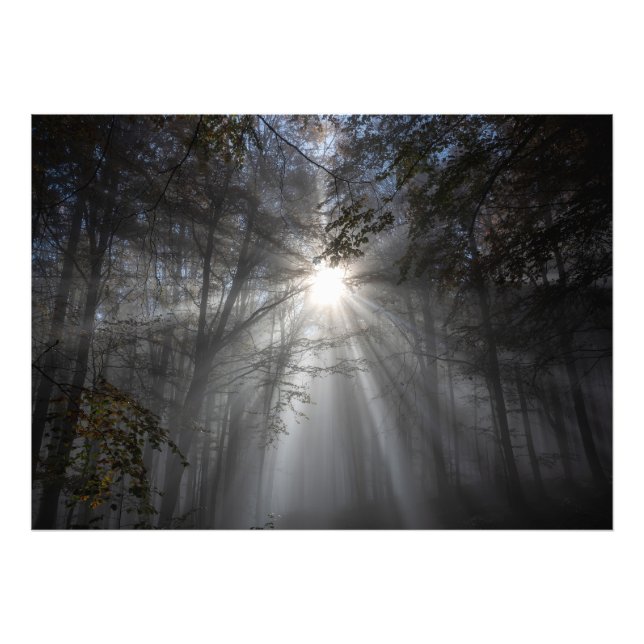 Season of silence photo print (Front)