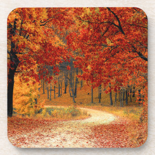 Seasonal colors of autumn beverage coaster