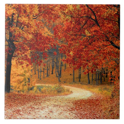 Seasonal colors of Autumn  Ceramic Tile