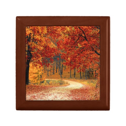 Seasonal colors of Autumn Gift Box