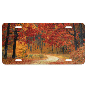 Seasonal colors of autumn license plate