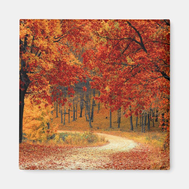 Seasonal colors of autumn  magnet (Front)