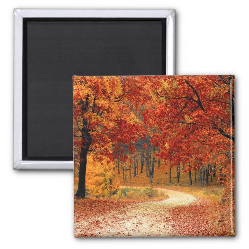 Seasonal colors of Autumn Magnet