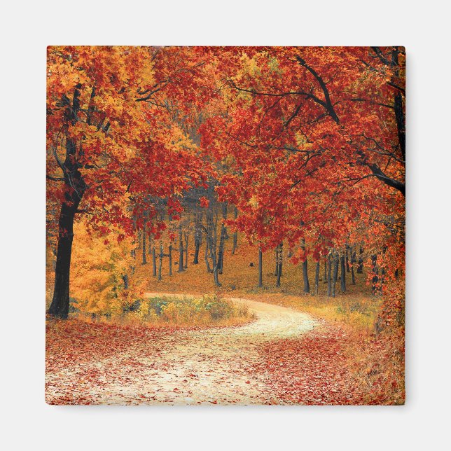 Seasonal colors of Autumn Magnet (Front)