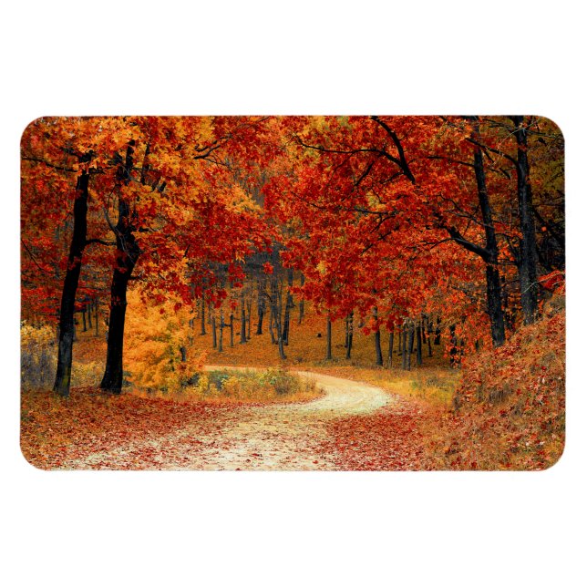 Seasonal colors of Autumn Magnet (Horizontal)