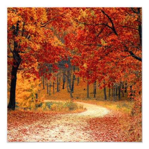 Seasonal colors of Autumn Photo Print