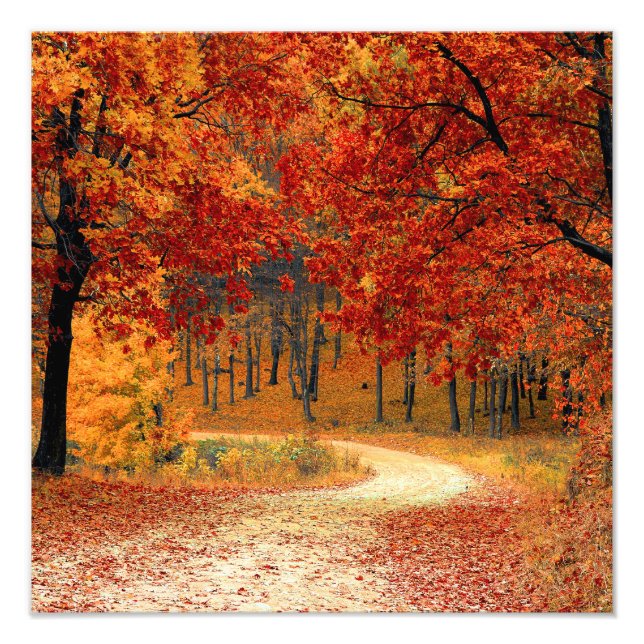 Seasonal colors of Autumn Photo Print (Front)