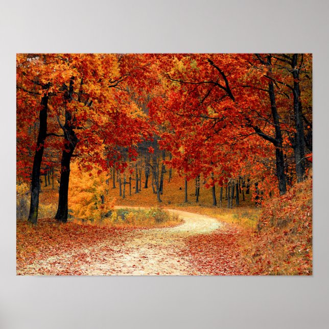 Seasonal colors of Autumn Poster (Front)