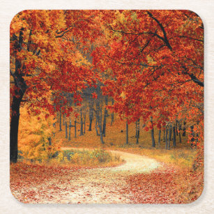 Seasonal colors of Autumn Square Paper Coaster