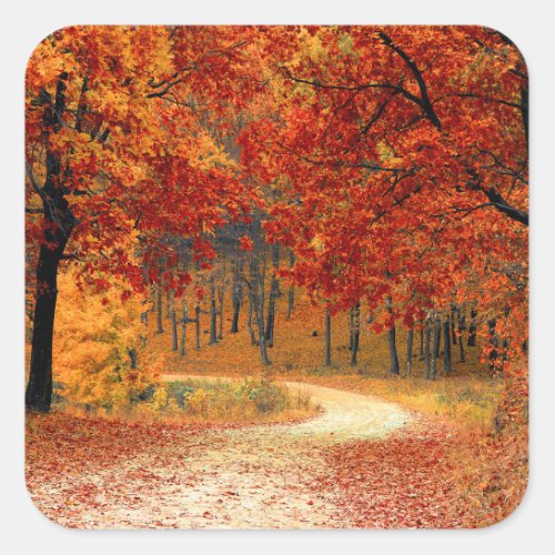 Seasonal colors of Autumn Square Sticker