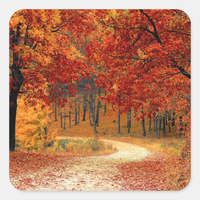 Seasonal colors of Autumn Square Sticker (Front)