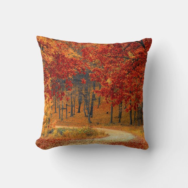Seasonal colors of Autumn Throw Pillow (Front)