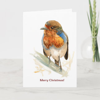 Seasonal greeting card with a European Robin