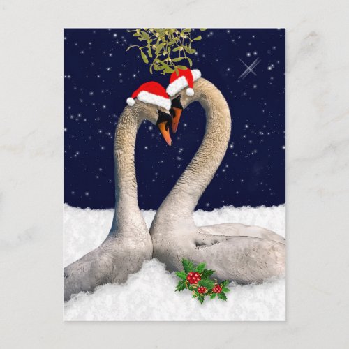 Seasonal Swans Christmas Postcard