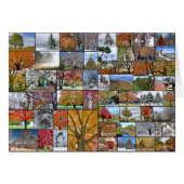 Seasonal trees collage (Front Horizontal)