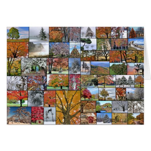 Seasonal trees collage cards (Front Horizontal)