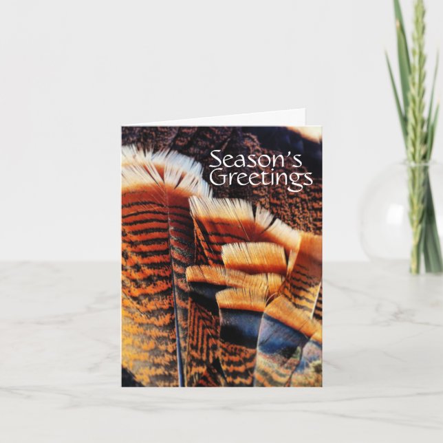 Seasonal Turkey Tail Feathers Generic Holiday (Front)