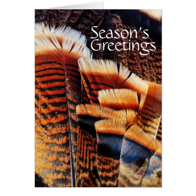 Seasonal Turkey Tail Feathers Generic Holiday