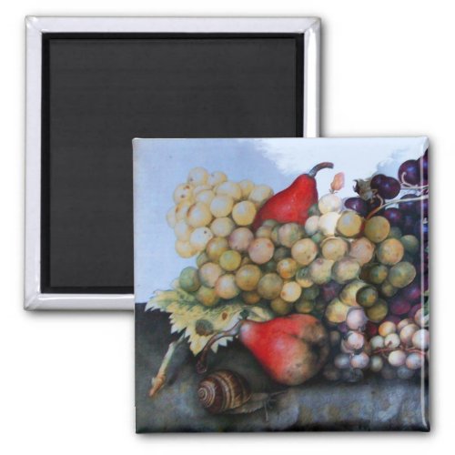 SEASONS FRUITS 1 _ GRAPES AND PEARS MAGNET