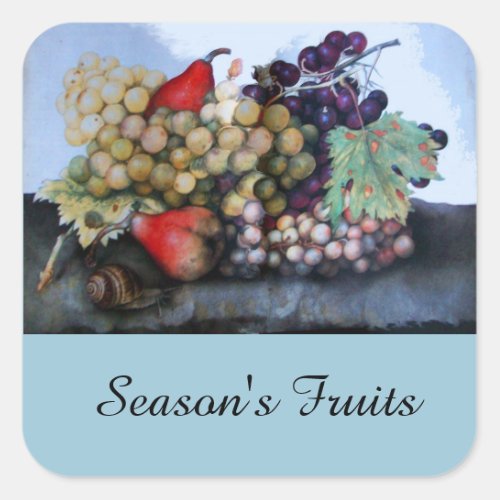 SEASONS FRUITS 1 _ GRAPES AND PEARS SQUARE STICKER