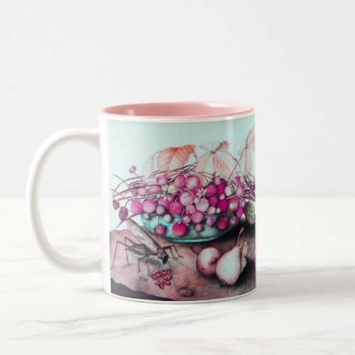 SEASONS FRUITS 3 Two_Tone COFFEE MUG