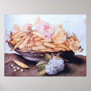 SEASON'S FRUITS 6 - BEANS AND ROSES POSTER