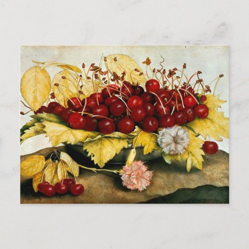 SEASONS FRUITS  CHERRIES AND CARNATIONS HOLIDAY POSTCARD